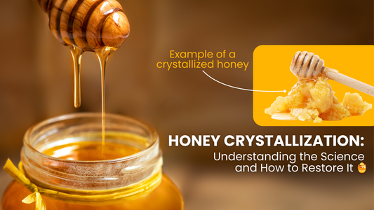 Honey Crystallization: Understanding the Science and How to Restore It 🍯