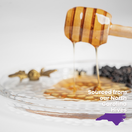 Elderberry Infused Honey Sticks 25 Count