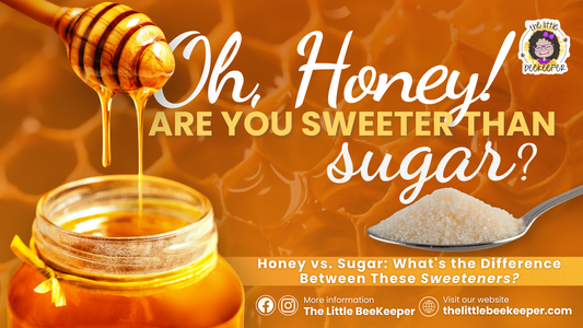 Oh, Honey! Are You Sweeter Than Sugar? Honey vs. Sugar: What's the Difference?