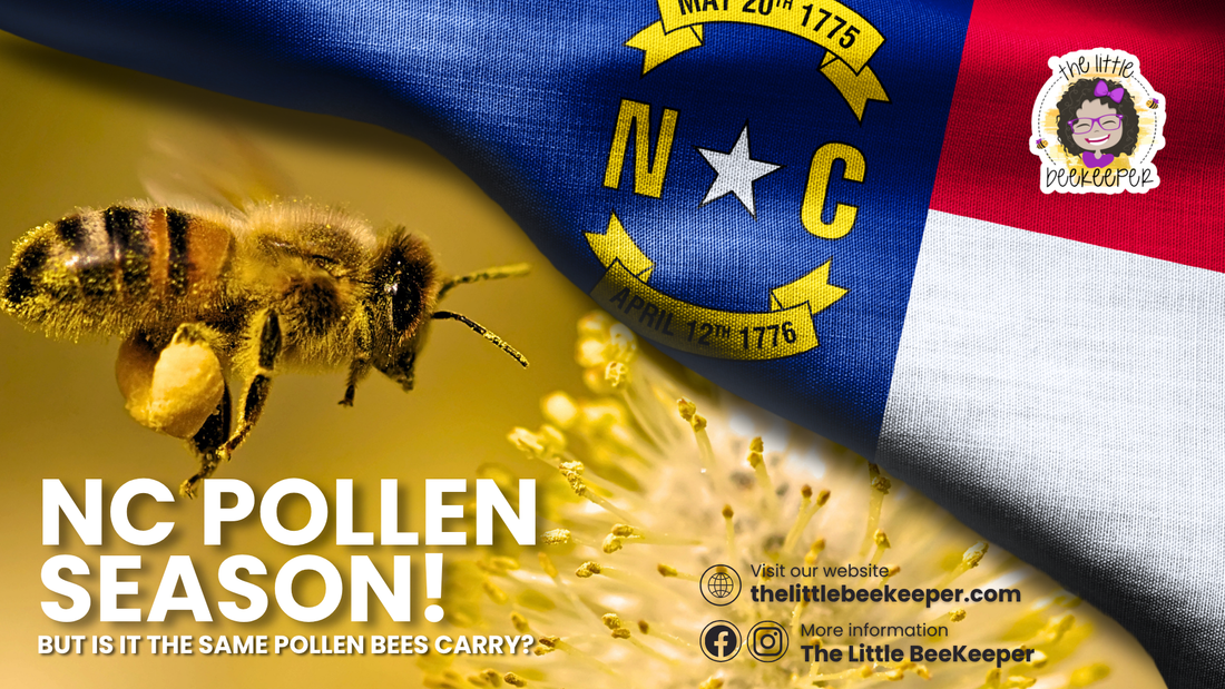 NC Pollen Is Rising, But What Are the Bees Carrying?