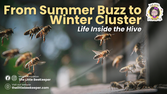 From Summer Buzz to Winter Cluster: Life Inside the Hive