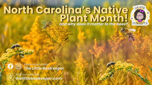 North Carolina Native Plant Month: Why Native Plants Matter to Bees