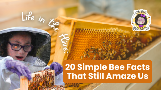 20 Things We’ve Learned About Bees (From Life in the Hive)