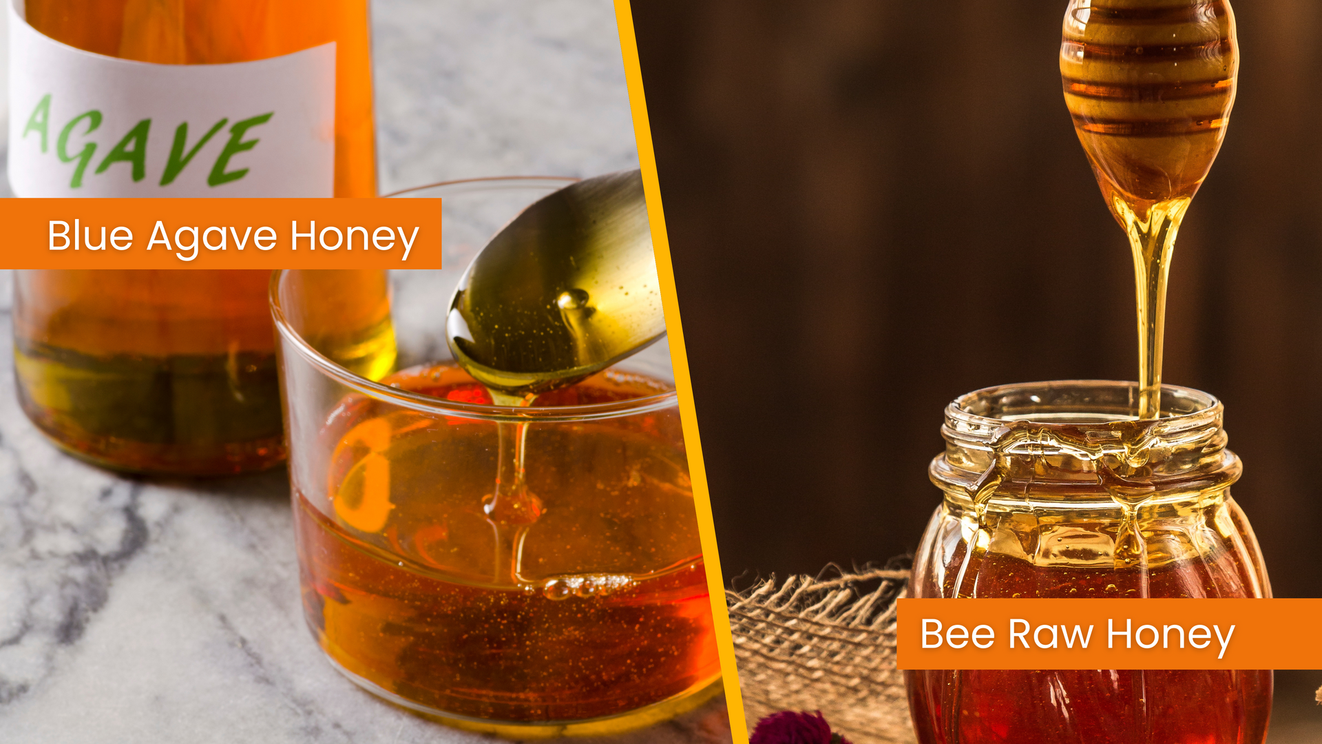 Honey vs. Blue Agave: Which Sweetener Should You Choose?  The Little  BeeKeeper